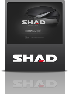 Shad